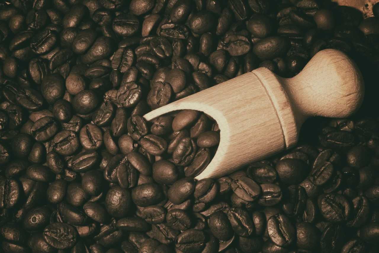 4 ciekawostki o kawie, o których nie miałeś pojęcia