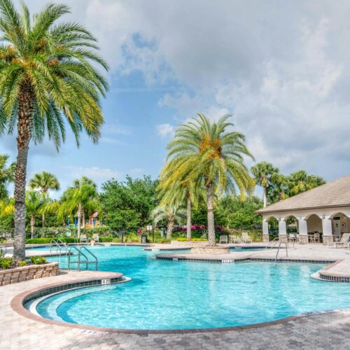 Swimming Pool Near Palm Tree